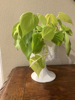 Vintage Milk Glass Footed Plant Pot