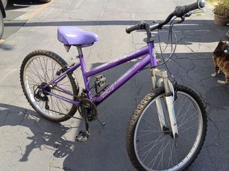 Adult bike
