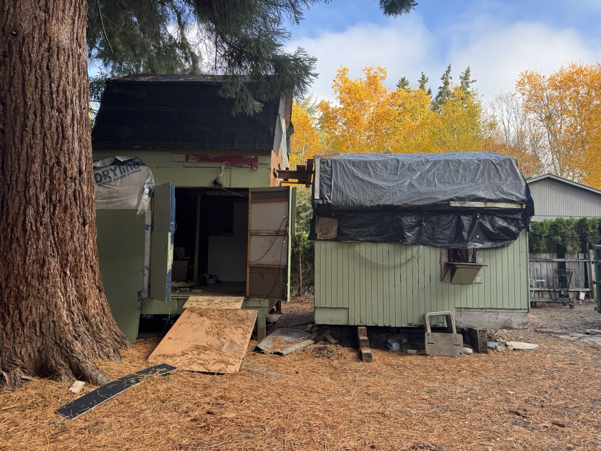 Shed free x2 must move/dismantle