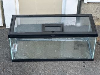 20 gallon fish tank