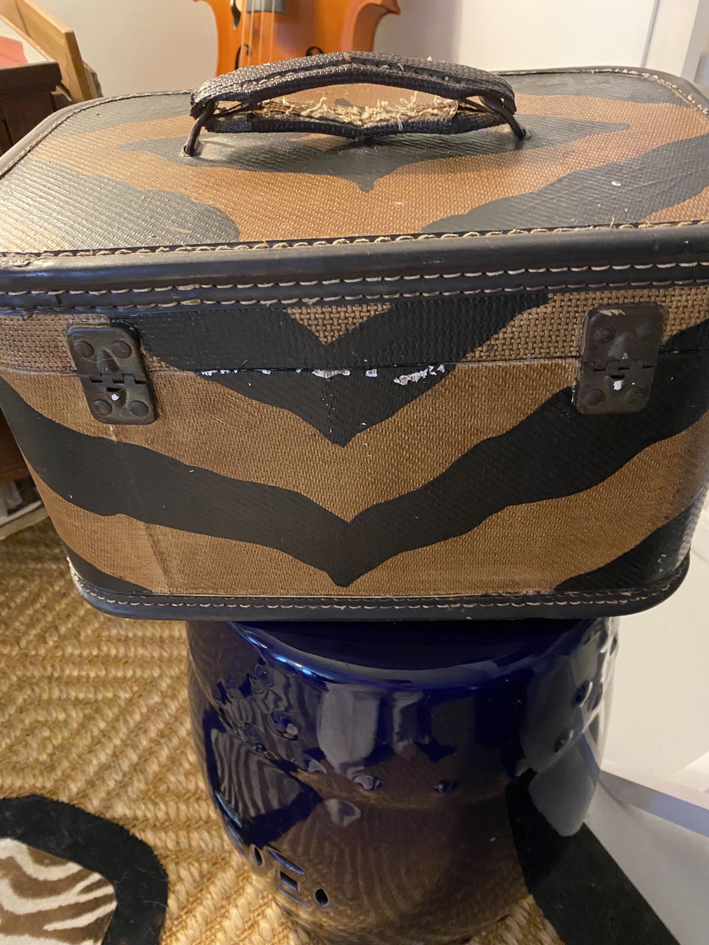 Vintage And Unique Zebra Stripe Travel Train Case