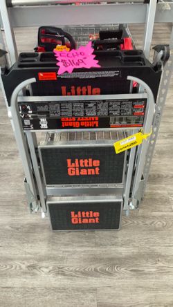 Little Giant Extention Ladder