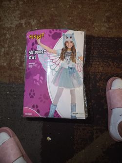 Shimmer Owl Costume