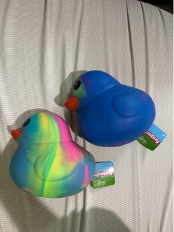 Squishy Ducks