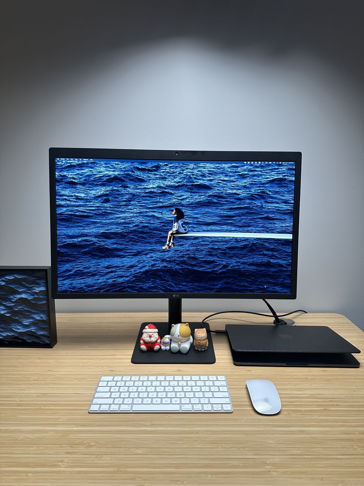 LG Ultrafine 5K IPS Monitor