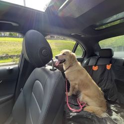 Dog Car Seat Cover