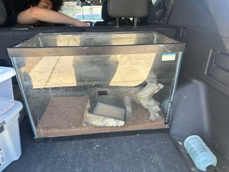 Terrarium