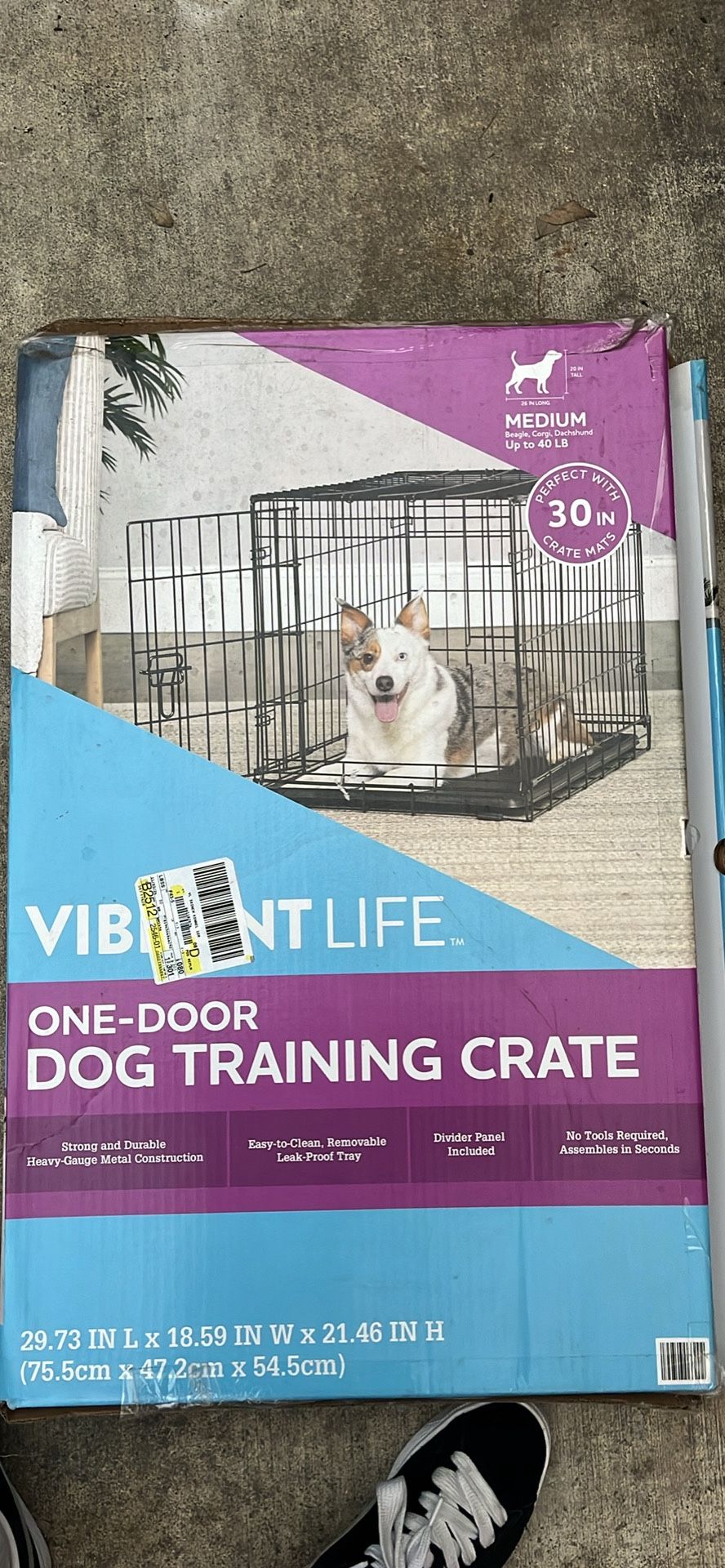 Dog Cage 