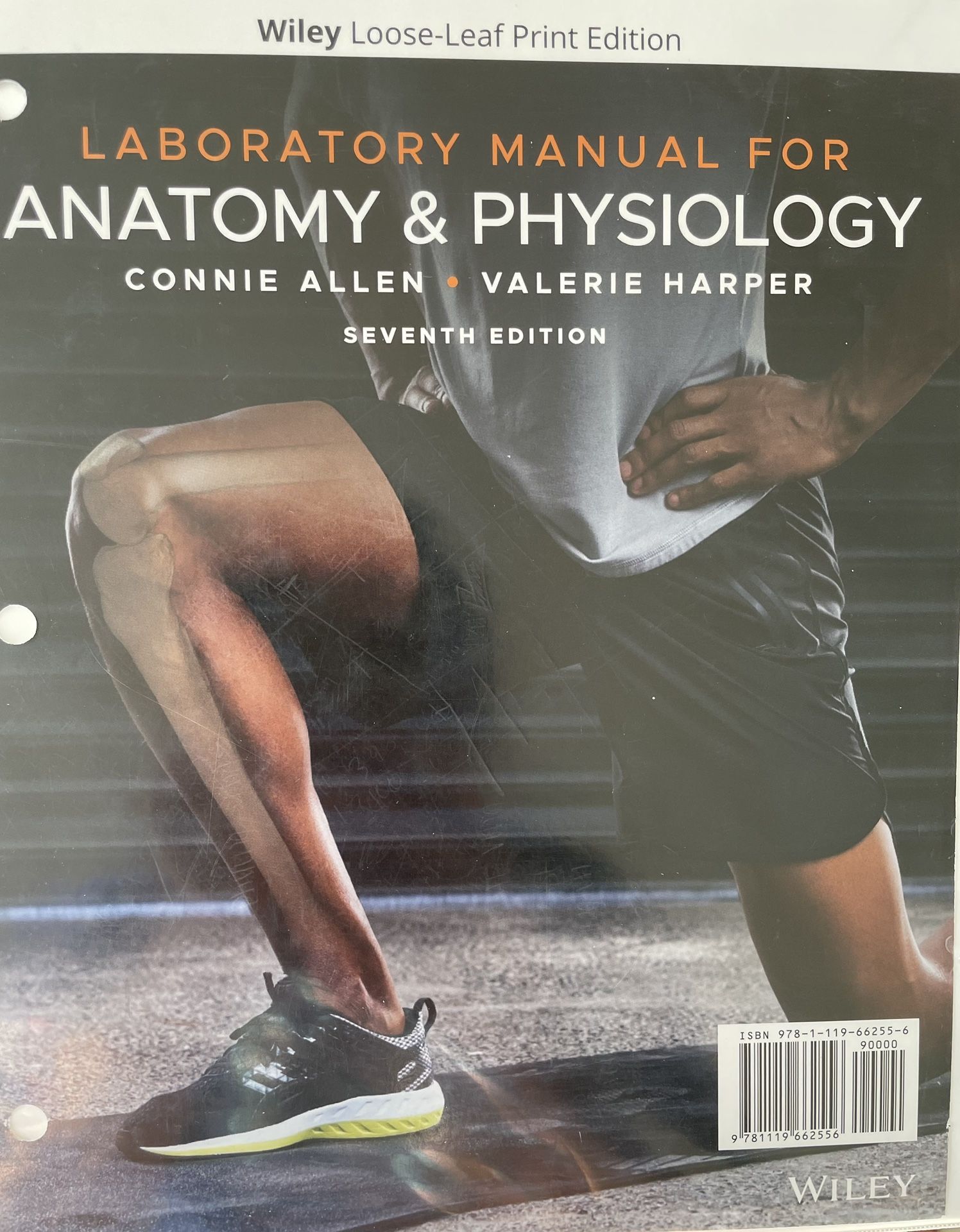 Anatomy & Physiology Lab Manual