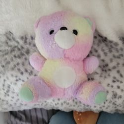 Rainbow Teddy Bear