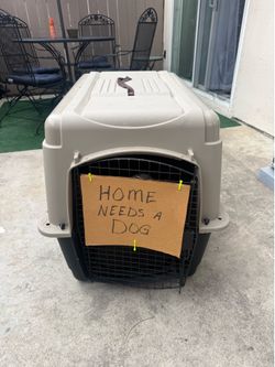 Hard-Sided Dog Carrier w/ Bed