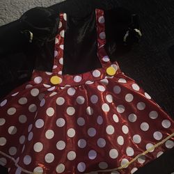 Mini Mouse Costume