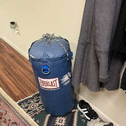 Everlast Heavy Bag With Adult And Youth Boxing Gloves 