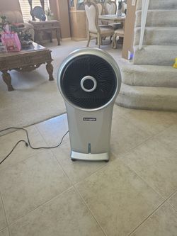Fan
