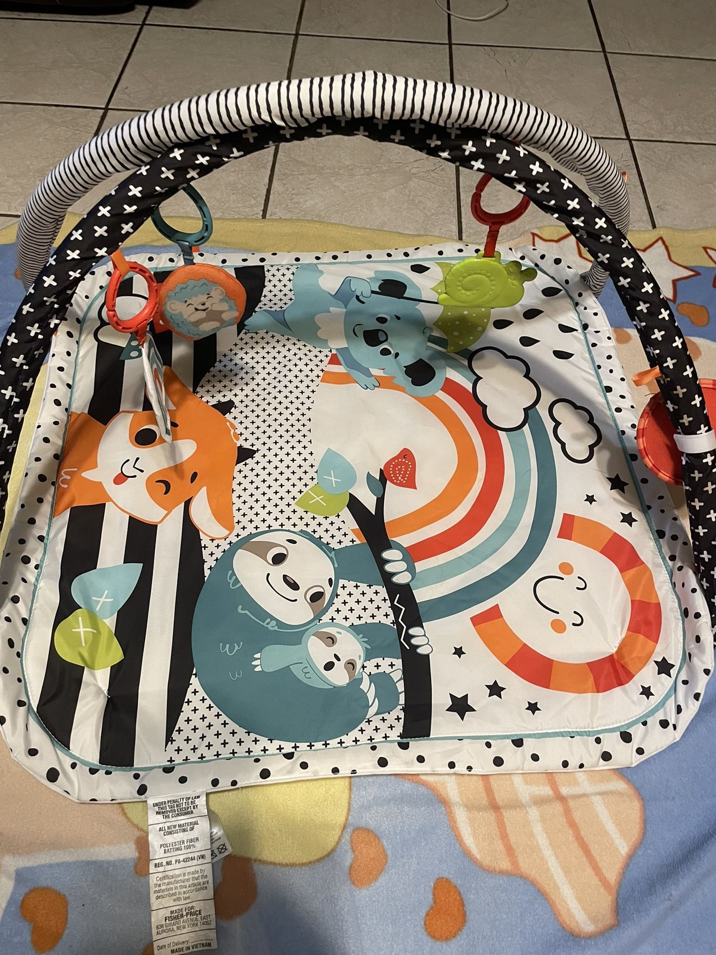 Fisher Price Infant Playmat