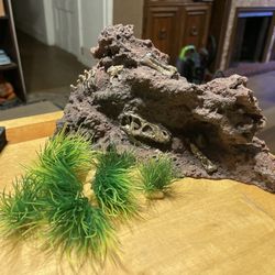 Fish Tank Decorations