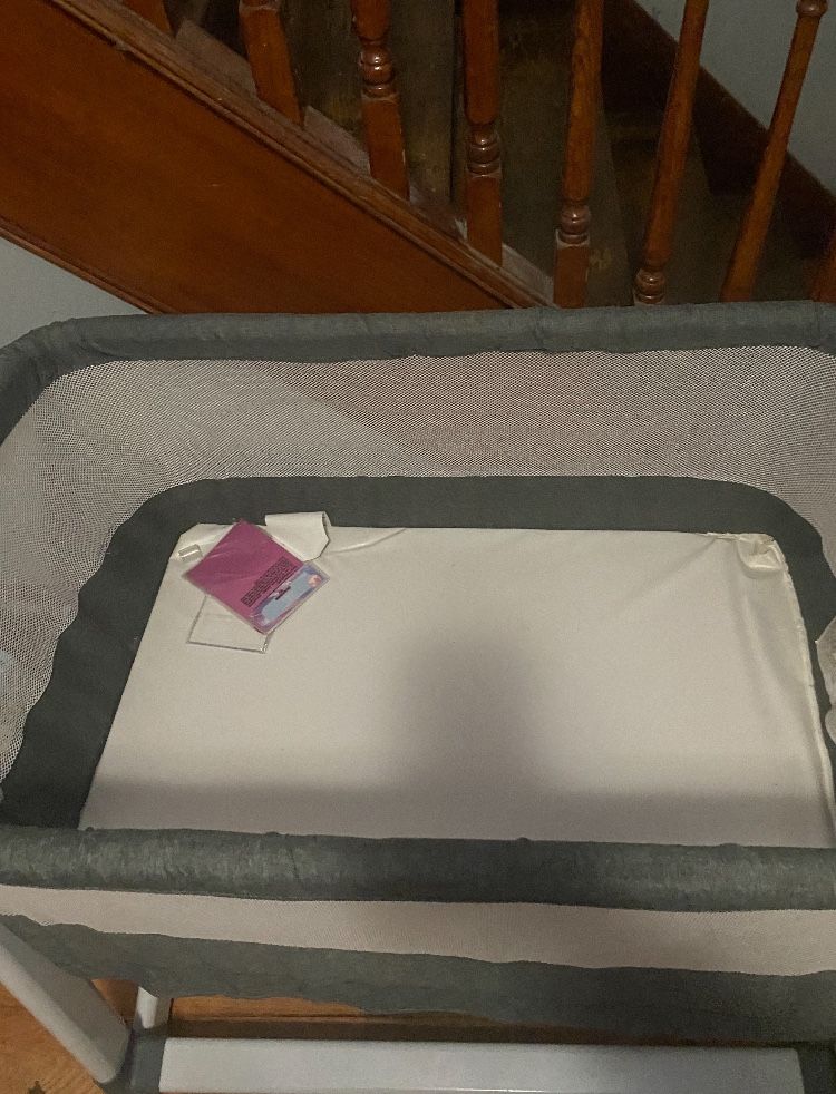 Bassinet/play Pin