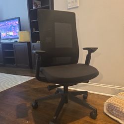 Branch Desk  Chair Originally $299