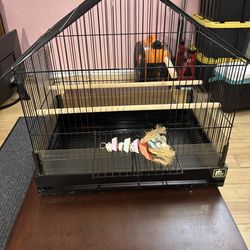 Bird Cage
