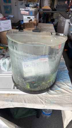 Free curved fish tank with everything