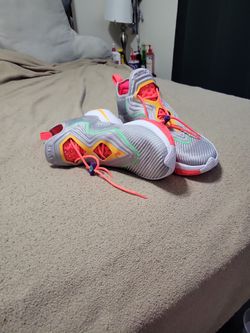 Nike Lebron 14s "Hare" 