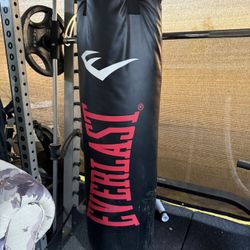 Everlast Punching Bag