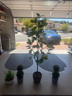 Decorative