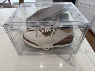 Air Jordan 3 Shoes Size 15 used w/ case