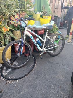 SCHWINN 7 SPEED BIKE