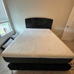 Queen Bed and Bed frame 