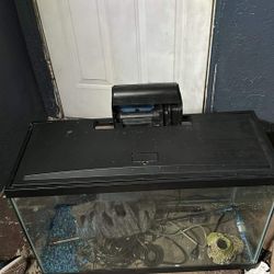40 Gallon Fish Tank