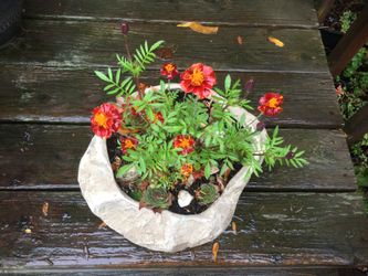For Your Patio