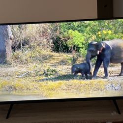 Vizio TV