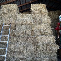 Beautiful Local Grass Hay