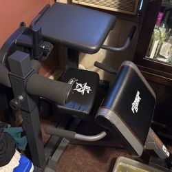 Two Back Machine Extension An Sissy Squat Machine All Together 