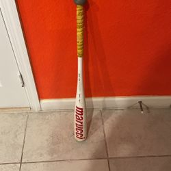 Kid baseball Bat cat 7