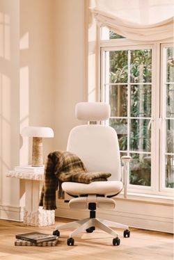 Napa Ergonomic Chair