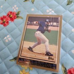 Tony Gwynn Baseball Cards Lot 