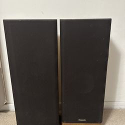 Panasonic 2 Way Speakers 