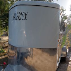  2021 3 Horse Trailer 