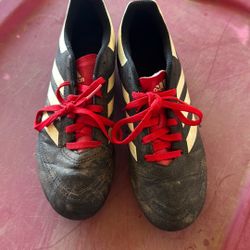 Adidas Shoes 
