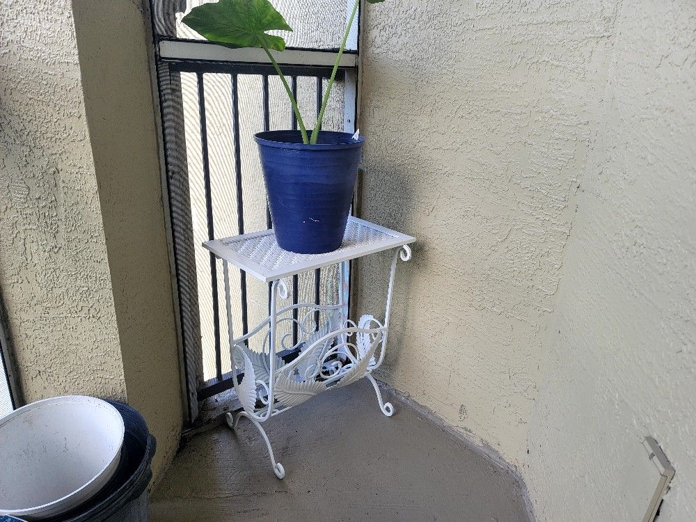 Magazine Rack/ Plant Holder