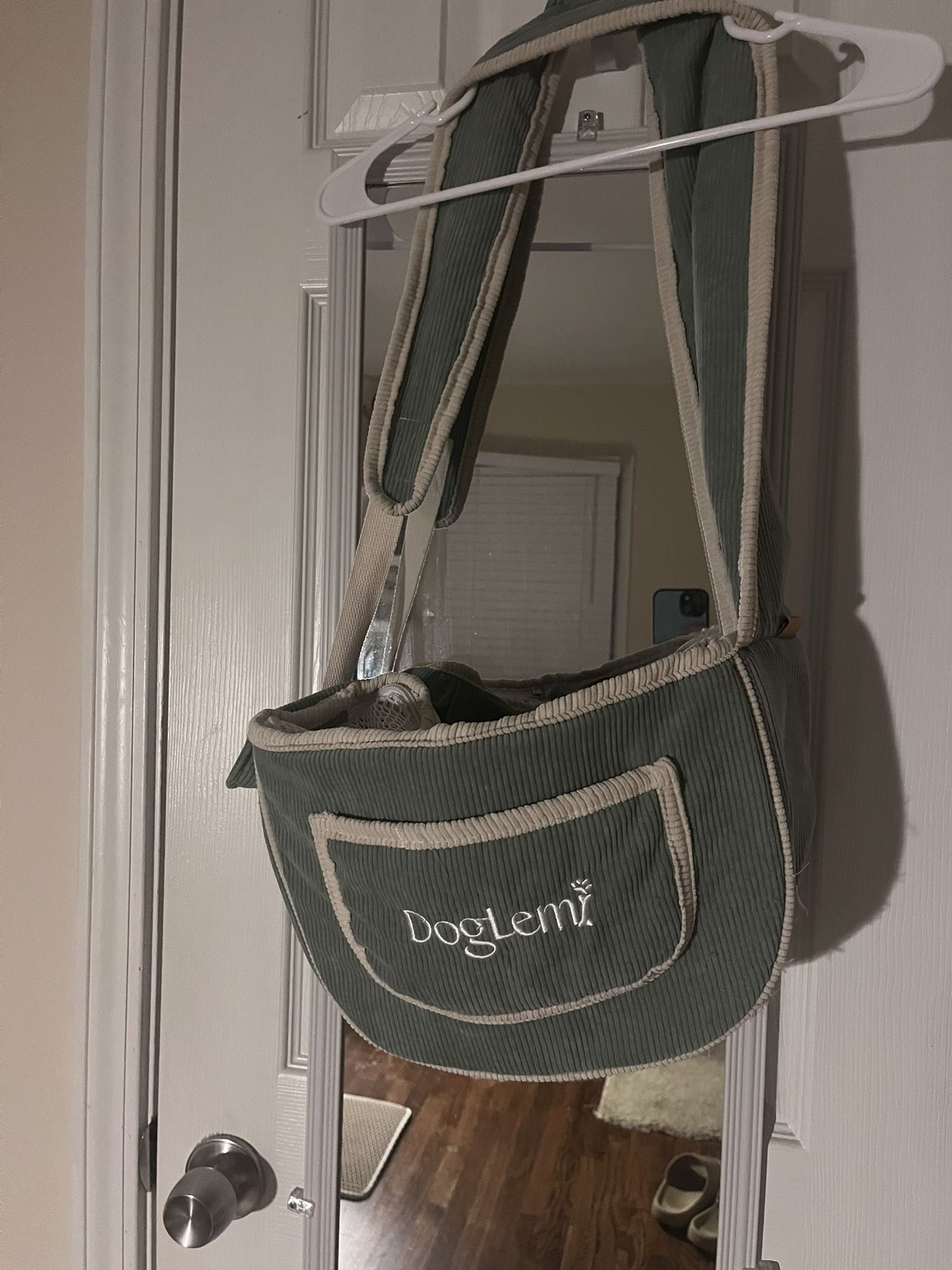 Light Green Small Dog & Cat Carrier Purse