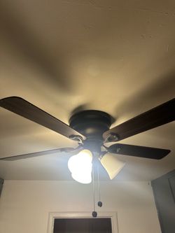 Ceiling Fan