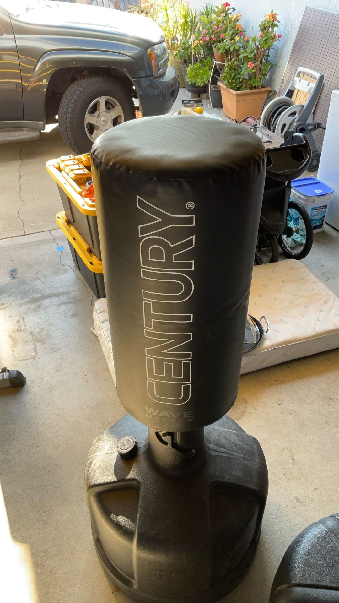 Punching Kicking Bag