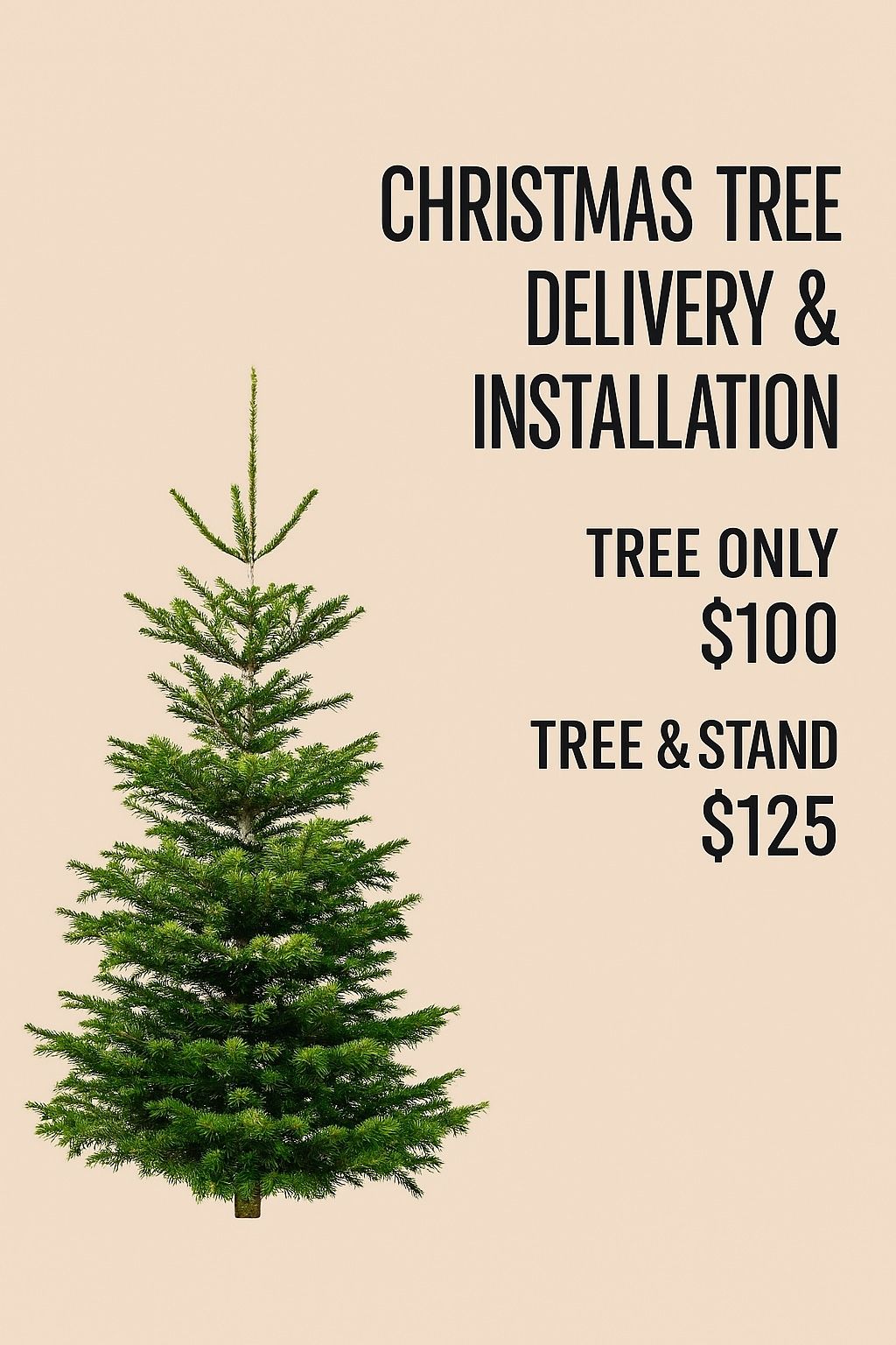 Christmas Tree Delivery and Installation