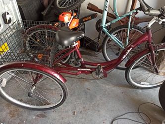 Tricycle bike with basket