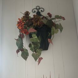 Decoración De Pare Negro