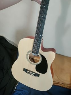 R.W. Jameson Electric Acoustic Chestnut White Guitar