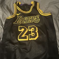 Lebron Jersey